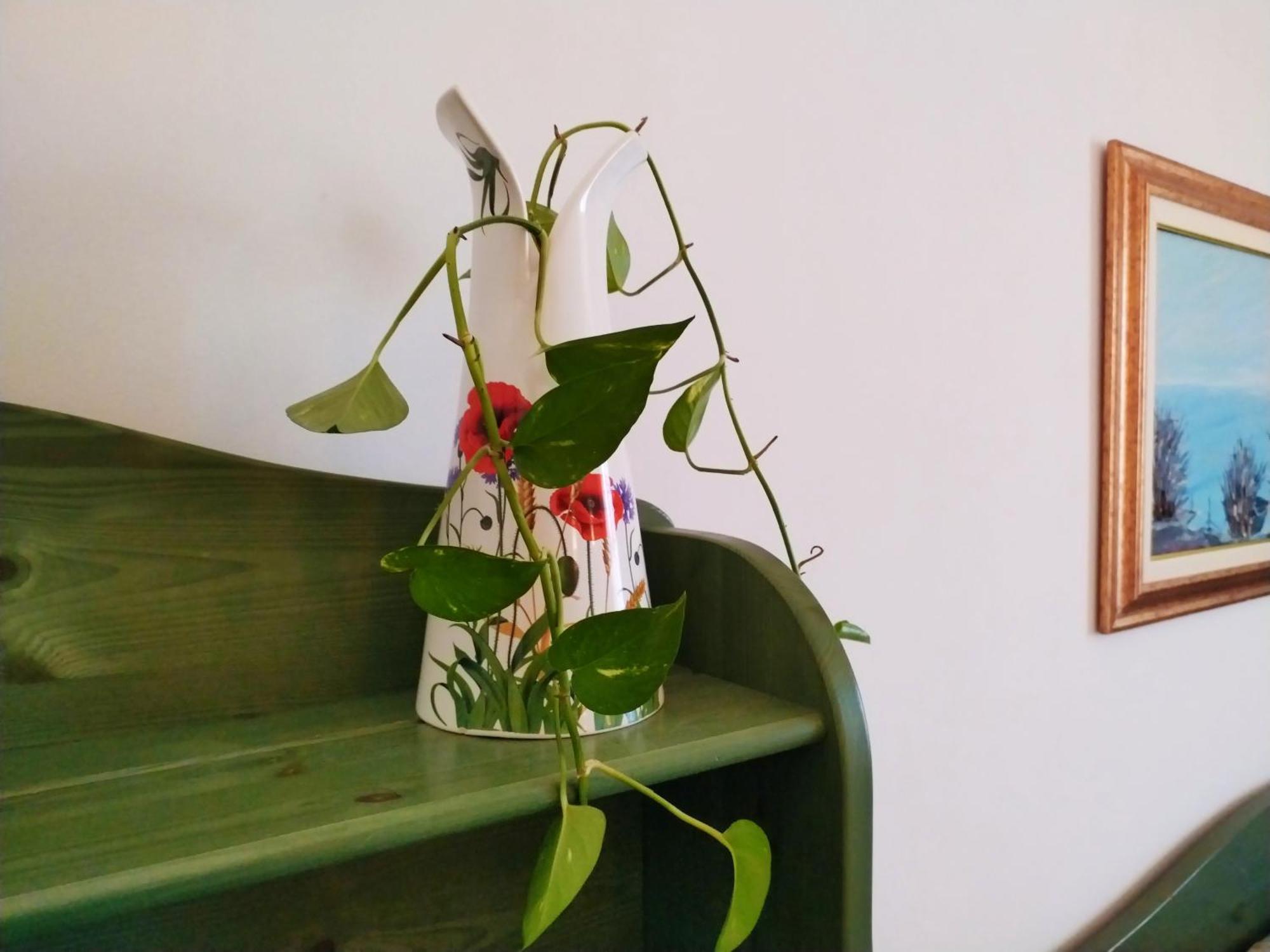 Come A Casa - Marsala Home Holidays Chambre photo